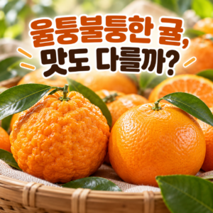 귤껍질이 울퉁불퉁하면 맛도 다를까? 겉모양과 당도의 관계 썸네일