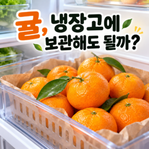귤을 냉장고에 보관하면 더 오래 갈까? 썸네일
