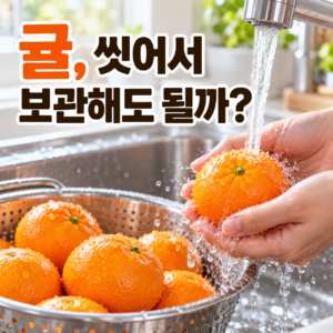 귤을 씻어서 보관해도 될까? 먹기 전 세척이 좋은 이유 썸네일