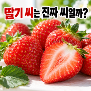 딸기에 붙은 작은 알갱이는 진짜 씨일까? 썸네일