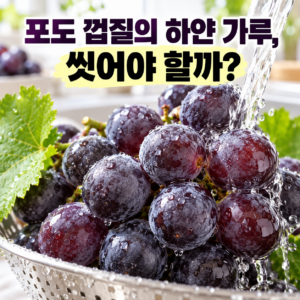 포도 껍질의 하얀 가루는 씻어야 할까? 썸네일