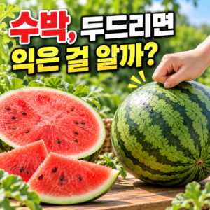 수박은 두드리는 소리만으로 잘 익었는지 알 수 있을까? 썸네일