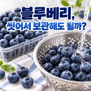 블루베리를 씻어서 보관하면 더 빨리 상할까? 썸네일