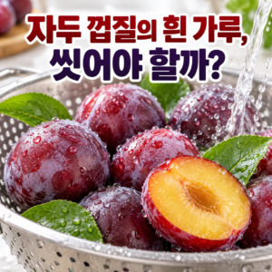 자두는 껍질째 먹어도 될까? 표면의 흰 가루와 세척법 썸네일