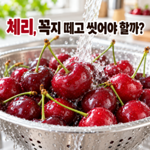 체리는 꼭지를 떼고 씻어야 할까? 신선하게 보관하는 방법 썸네일